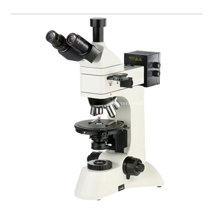 偏光顯微鏡圖片