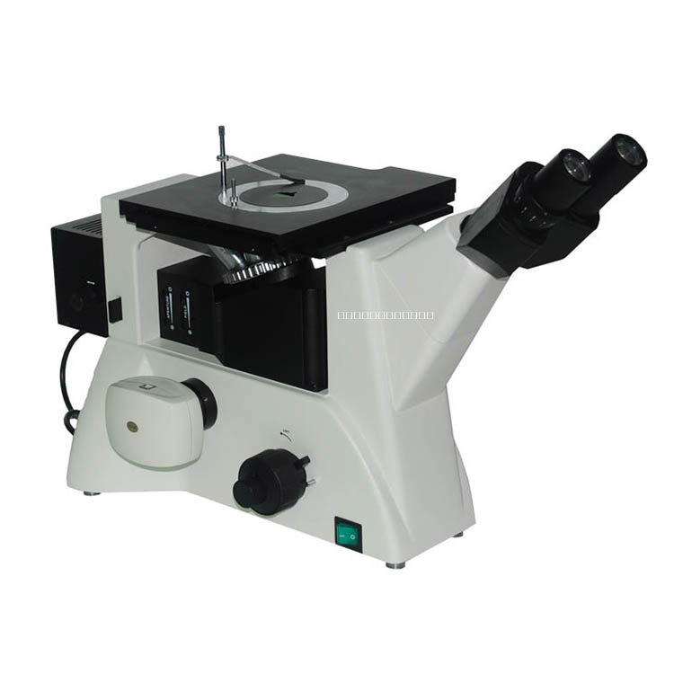 倒置微分干涉顯微鏡圖片