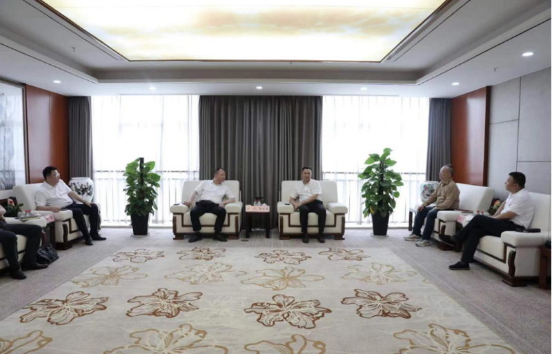 周鴻與湖南輕鹽集團黨委副書記、副董事長、總經理李志勇舉行會談