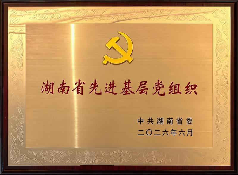 重磅榮譽！四化建黨委榮獲“湖南省先進基層黨組織”稱號